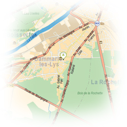 carte-dammarie-les-lys