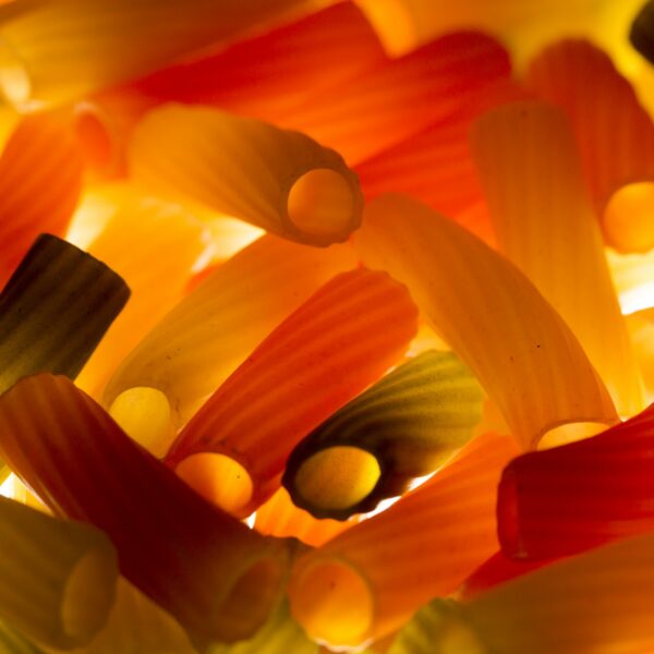 Quels aliments à éviter pour le diabète ?