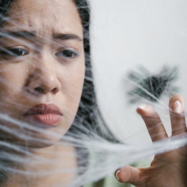 Comment surmonter la phobie des araignées ?