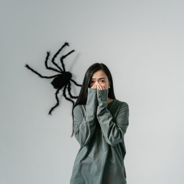 Comment la psychothérapie aide à se libérer durablement d’une phobie ?