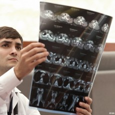 Quand la psychothérapie rencontre la neurobiologie