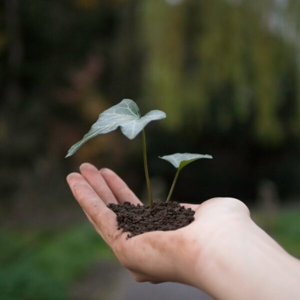 Ecologie la peur du changement