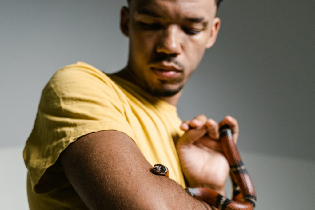 Phobie des serpents : que faire ?