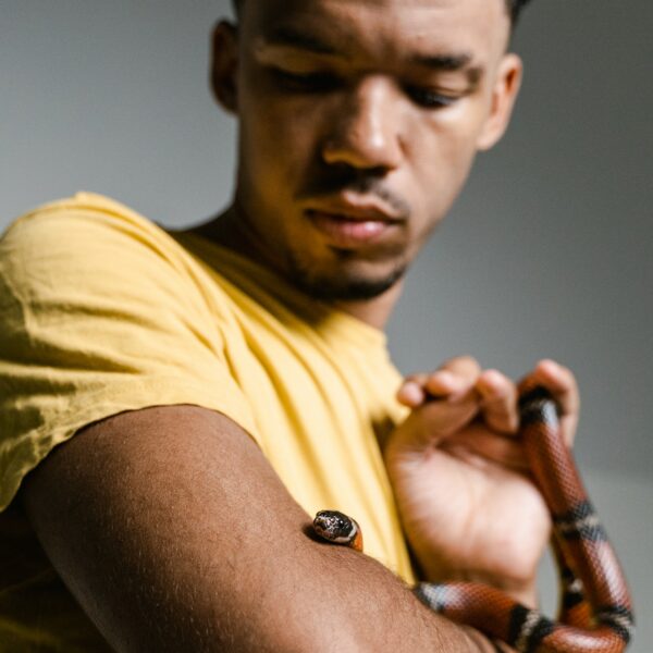 Phobie des serpents : que faire ?