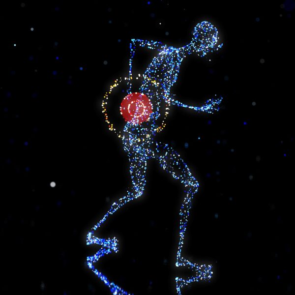 Analyse bio-énergétique : définition