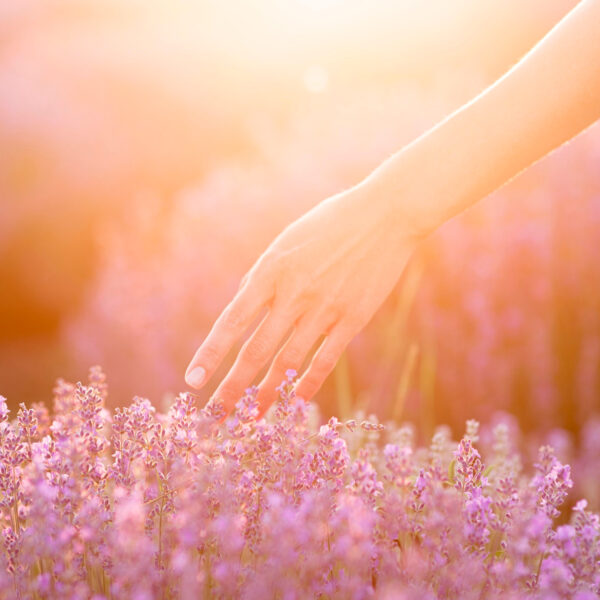 Bien-être en 2024 : Un regard sur la qualité de vie dans un monde en mutation