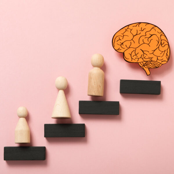 Comment la psychologie du développement analyse-t-elle les étapes de la vie ?