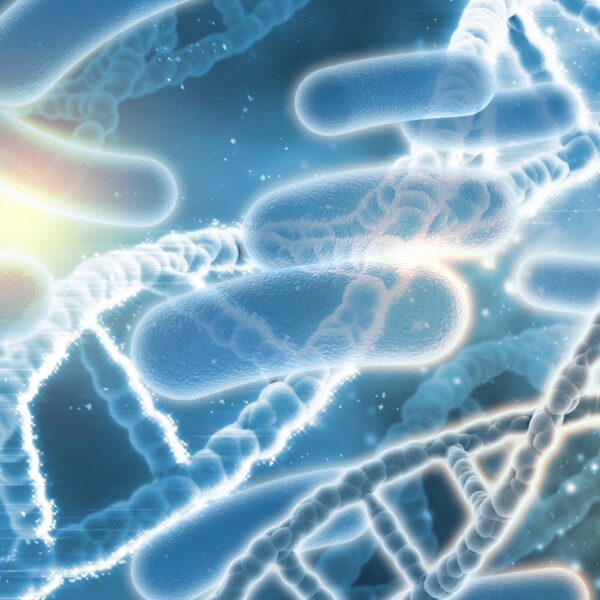 Le lien entre microbiote et système immunitaire : comment renforcer sa flore intestinale ?