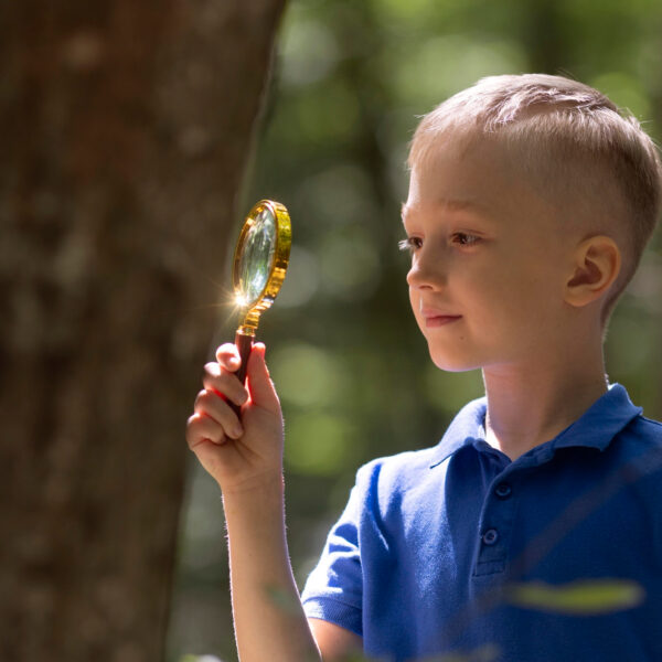 Pourquoi certains enfants se développent plus vite que d’autres ?