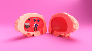 Comment notre cerveau traite-t-il les émotions et quelles zones sont impliquées ?