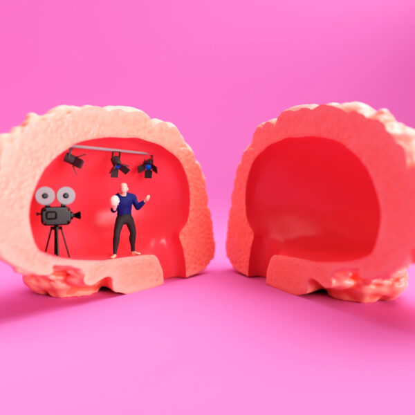 Comment notre cerveau traite-t-il les émotions et quelles zones sont impliquées ?