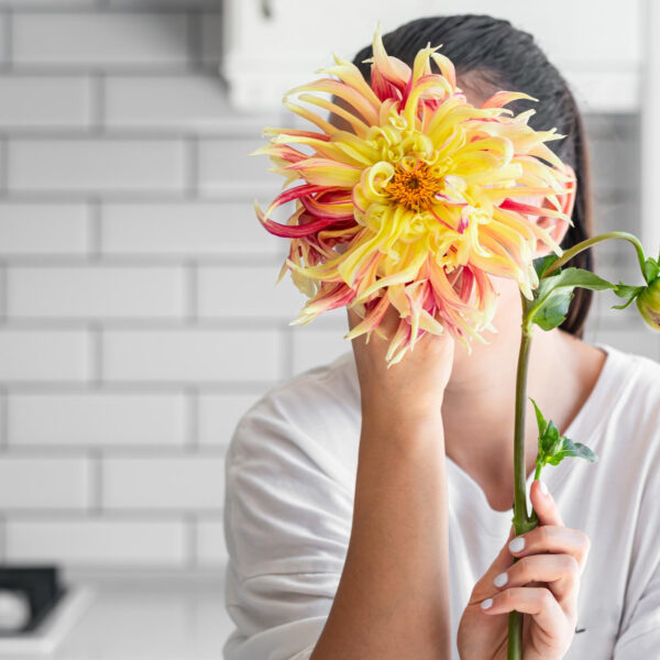 Les hormones et leur rôle dans la régulation des émotions