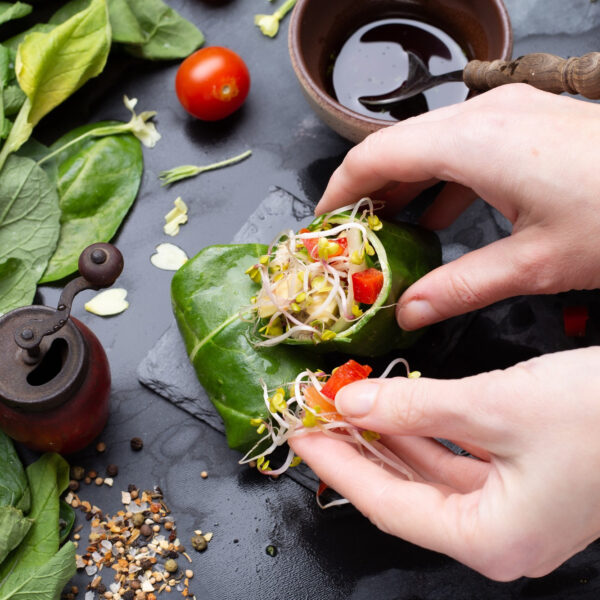 Les idées reçues sur le végétarisme et le véganisme