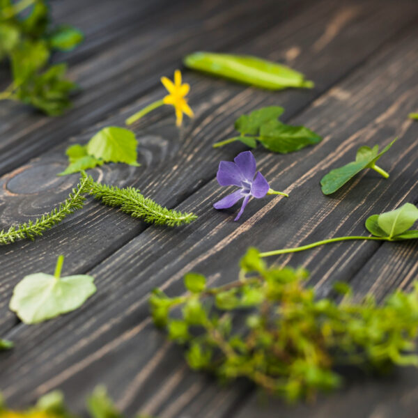 Les plantes médicinales contre la dépression sont-elles vraiment efficaces ?