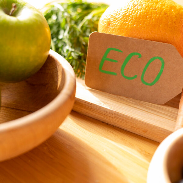 Quels sont les impacts écologiques réels du véganisme ?