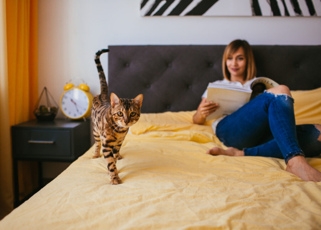 Faut-il interdire les animaux de compagnie dans la chambre ?