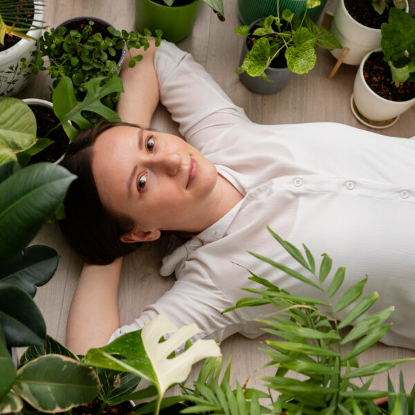 Les plantes qui améliorent la qualité de l’air et favorisent le sommeil