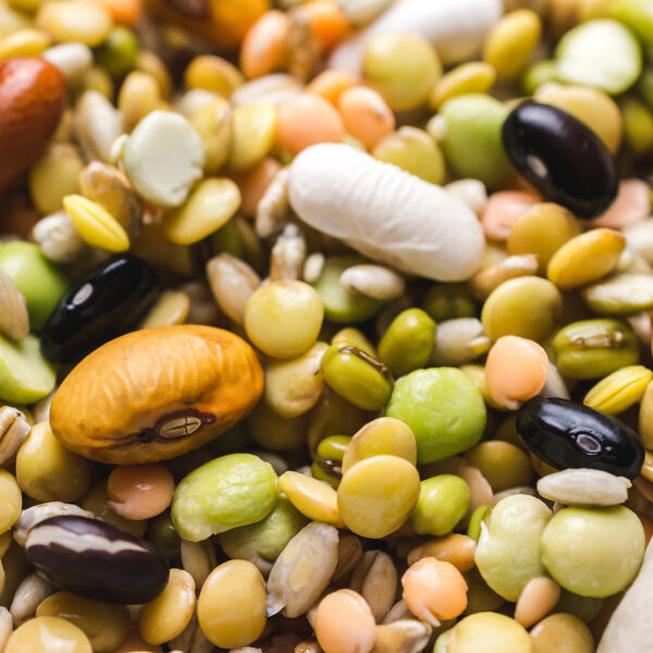 Quels aliments permettent de remplacer la viande dans l’alimentation ?