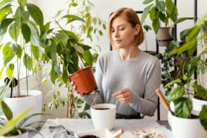 Créer une atmosphère naturelle chez soi aide à se détendre