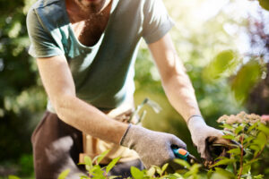 Le jardinage fait du bien au moral