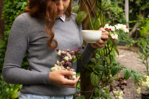 Phytothérapie et phobies, jusqu’où les plantes peuvent-elles apaiser l’anxiété ?