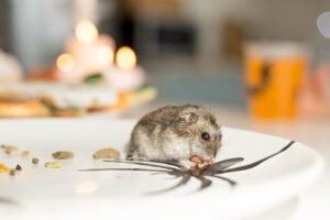 Phobies animales les plus fréquentes, pourquoi certaines espèces concentrent-elles nos peurs ?