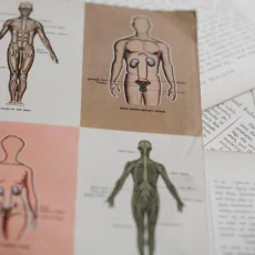 45e2d575-32a2-4d23-a526-c18bacd09bdc-671w